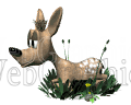 illustration - fawn_laying_down_md_wht-gif